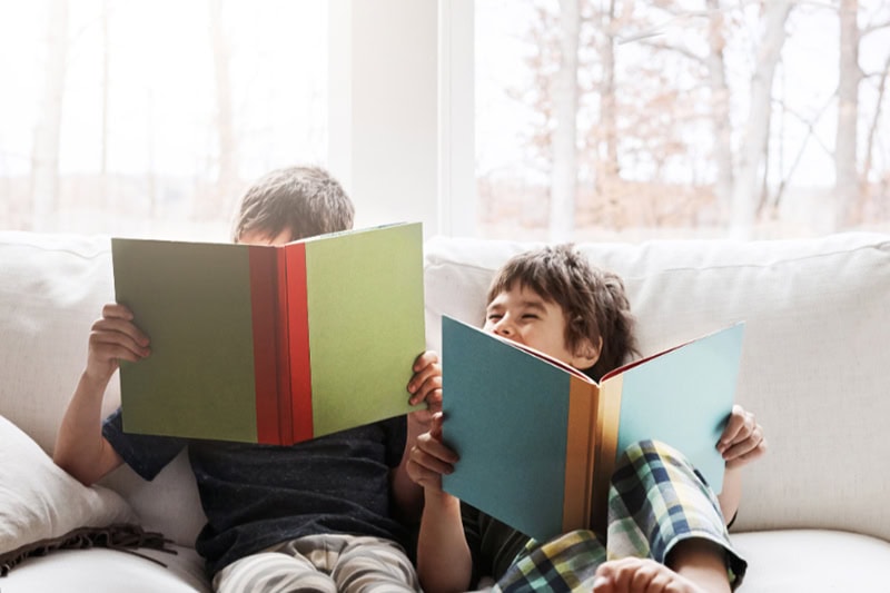 Cold Climate Heat Pumps Are HVAC Game Changers. Photo of two brothers reading books while relaxing together.